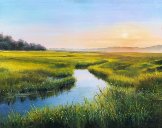 Sunrise over the marshland