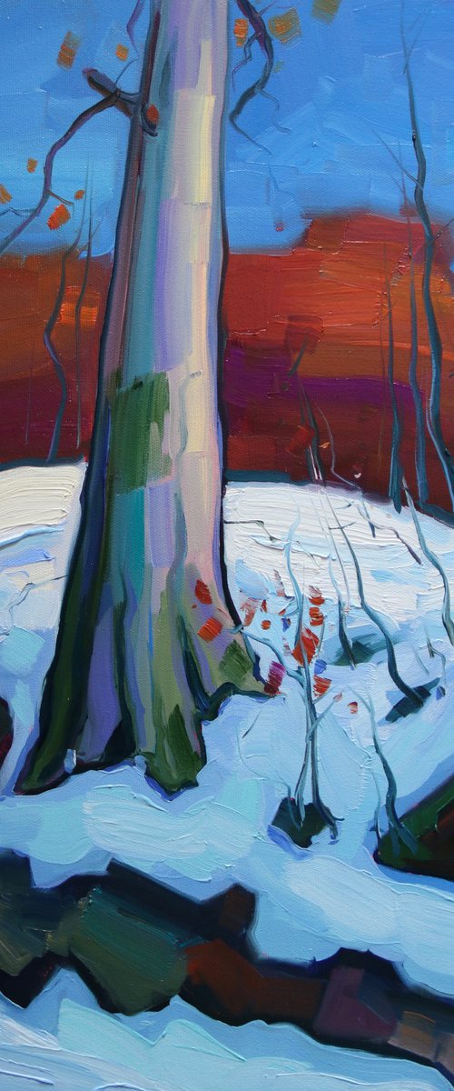 Winter by Tigran Avetyan