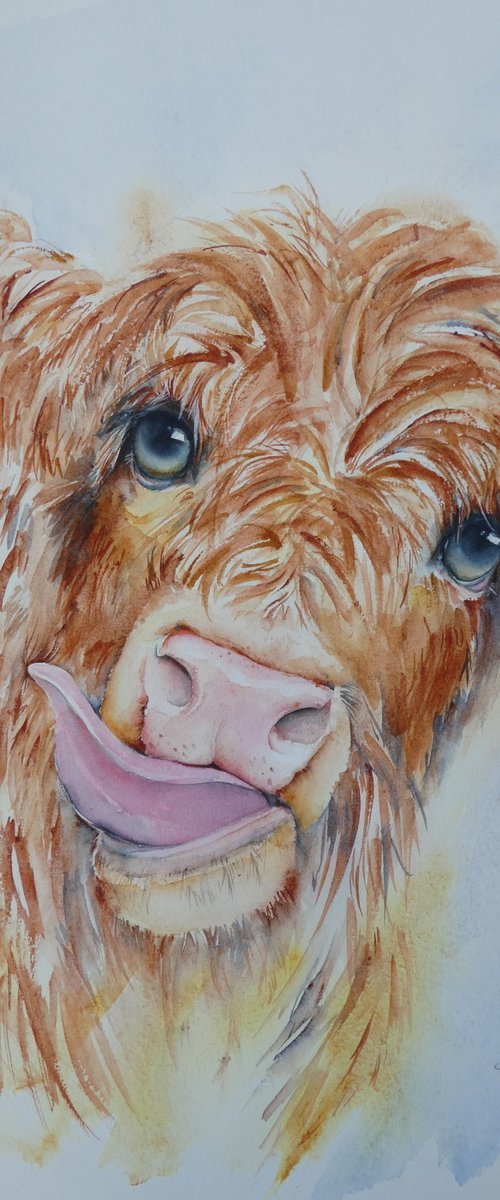 Cheeky Cow by Seonaid Parnell