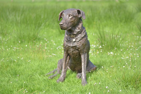 "Maggie" Sitting Lab 2 BR