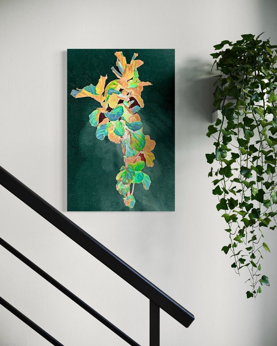 Floating fig plant