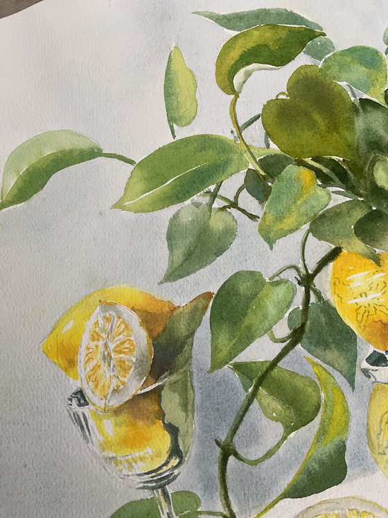 The taste of Lemon color