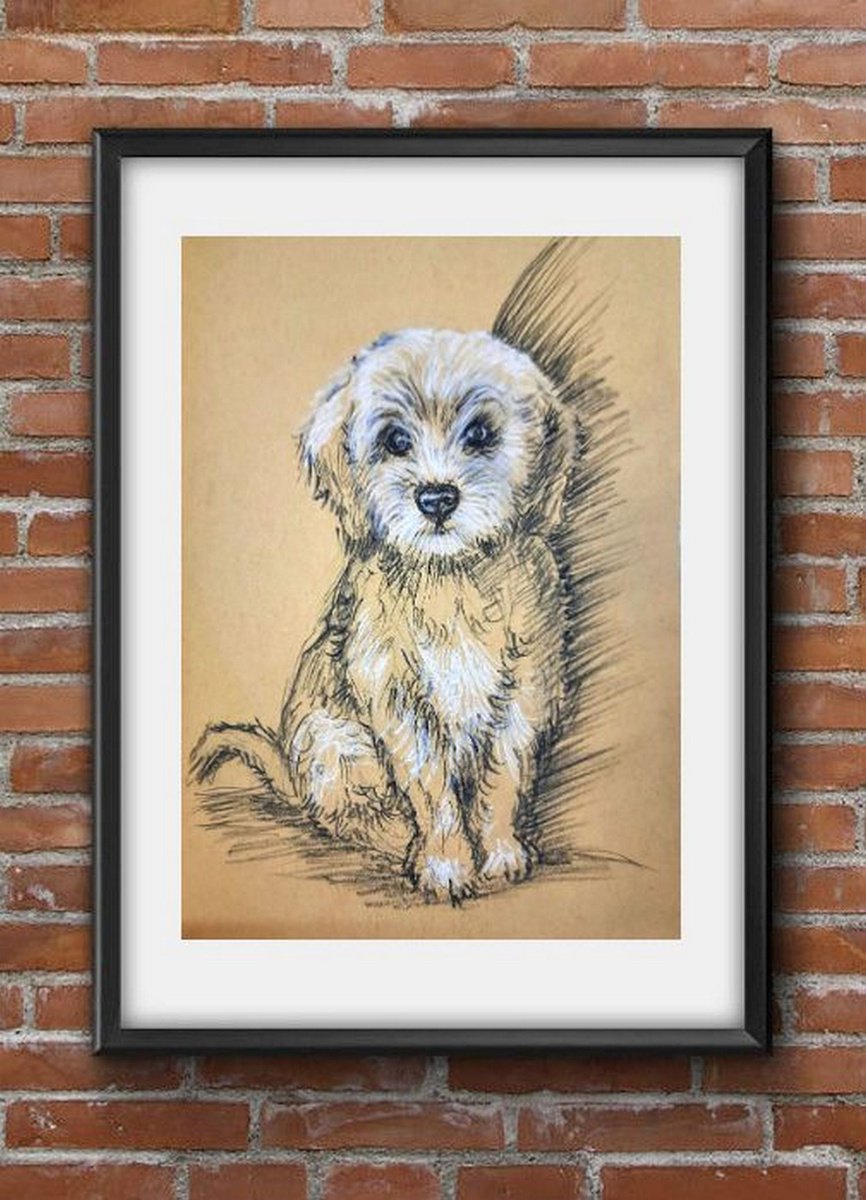 Cute puppy - Pet dog sketch Charcoal on paper by Asha Shenoy