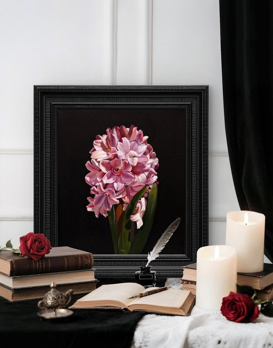 Chiaroscuro Pink Hyacinth Elegance