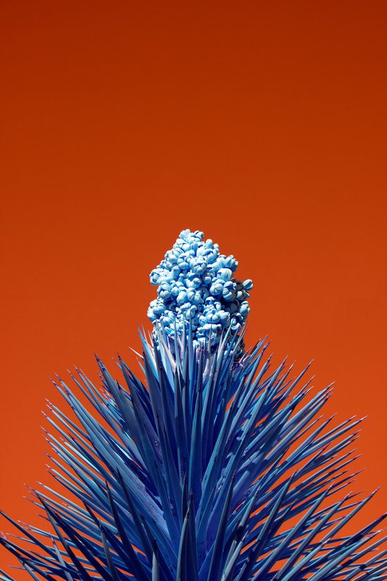 Nothing Here is Meant to Last