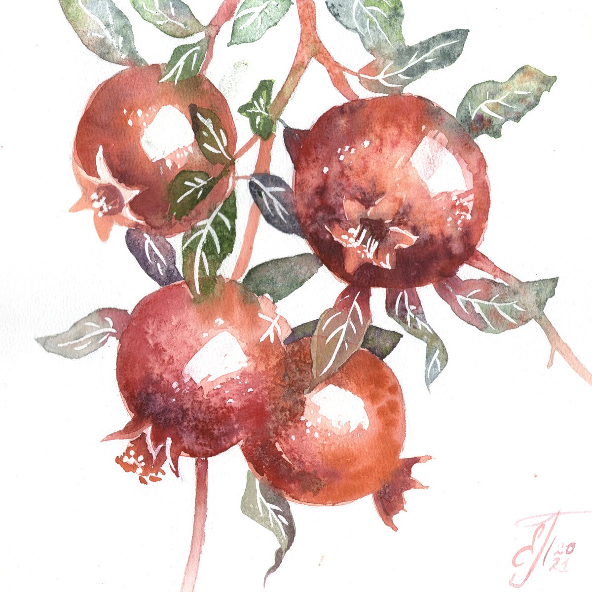 Pomegranate branch by Ekaterina Prisich