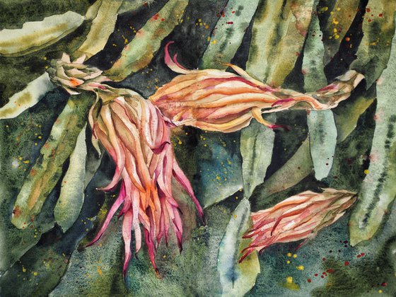 Dragonfruit flowers - original tropical watercolor