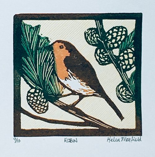 Robin by Helen Maxfield