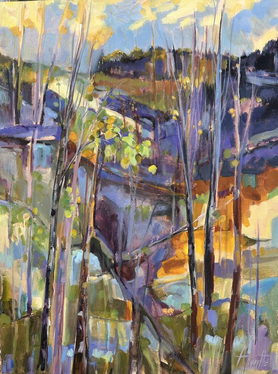 Nature’s Kaleidoscope