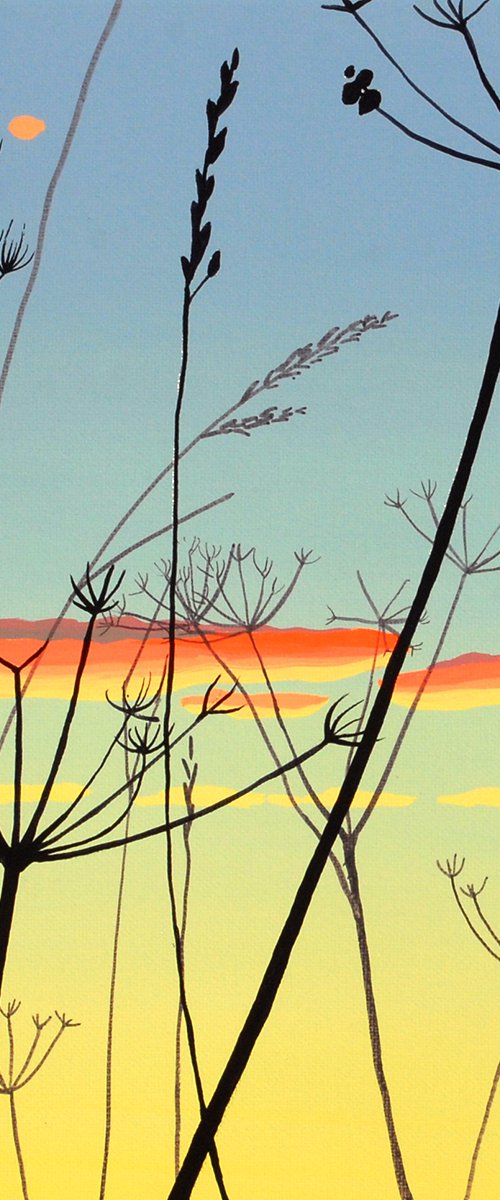 Skyward by Theresa Shaw