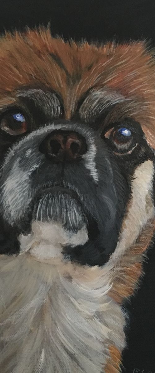 LOU LOU - PEKINGESE by ELAINE ASKEW