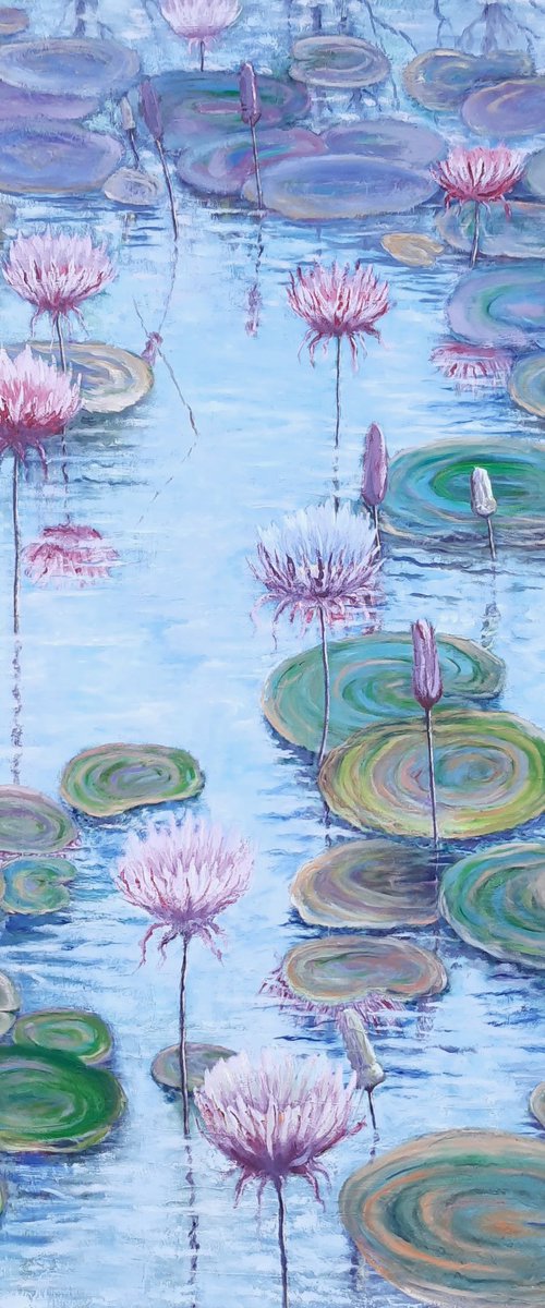 Water lilies by John Howes