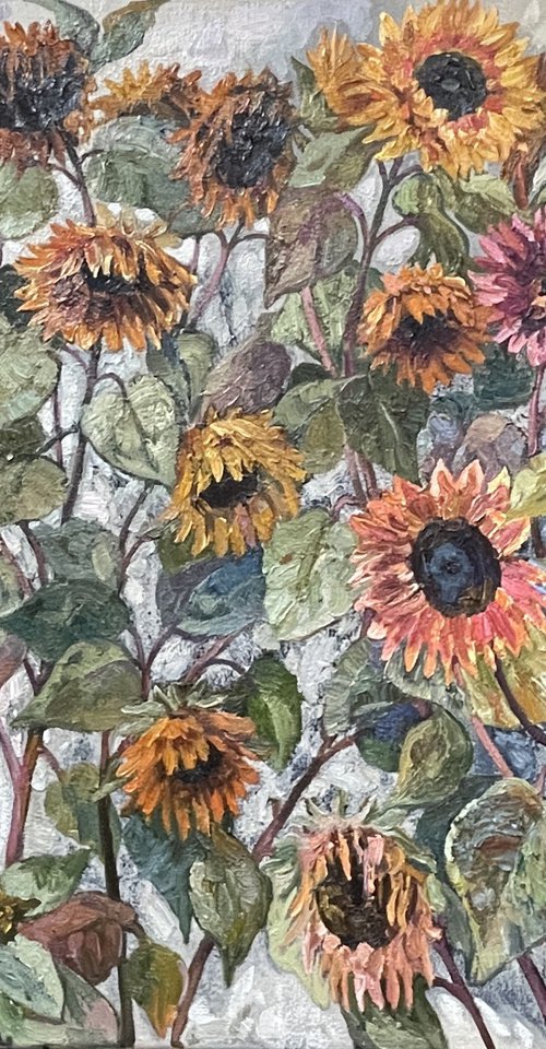 Trondheim sunflowers by Nadezda Stupina