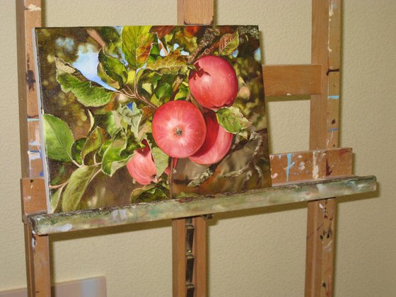 Red Apples on Tree Branch