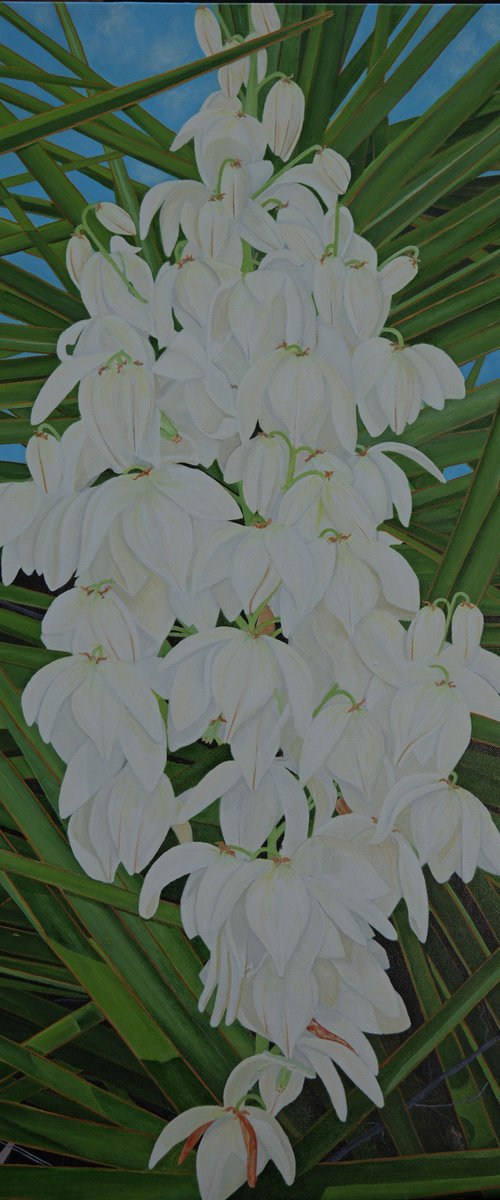 Yucca Plant St. Martin by Steven Fleit