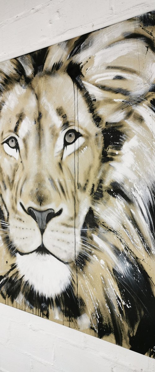 Lion #14 - Series BIG CAT by Stefanie Rogge