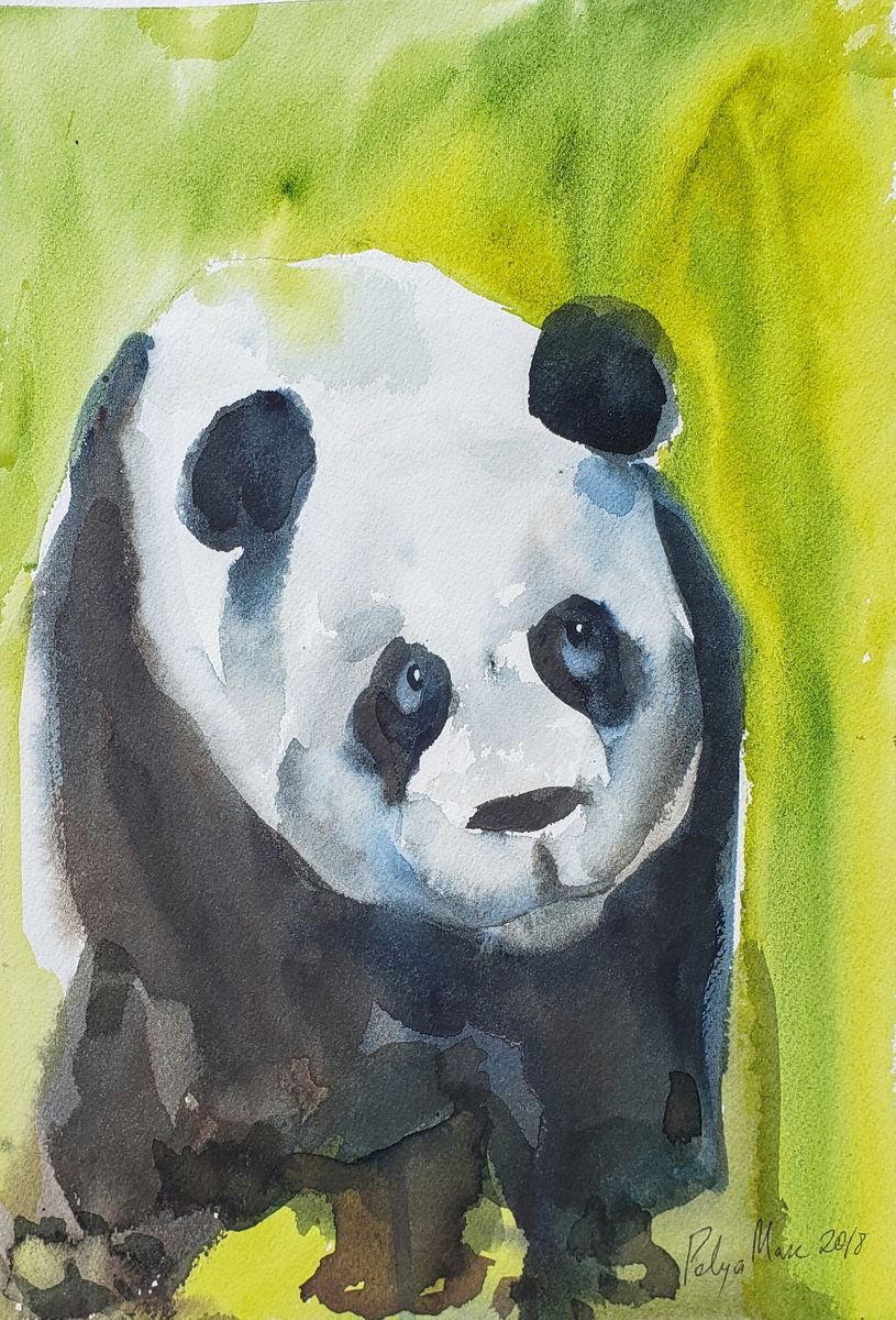 Older panda by Polina Morgan