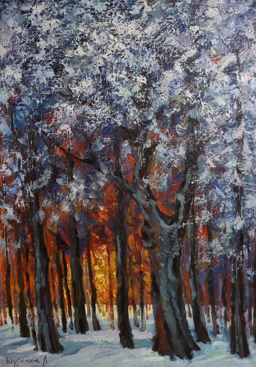 Winter forest by Anna Shurakova