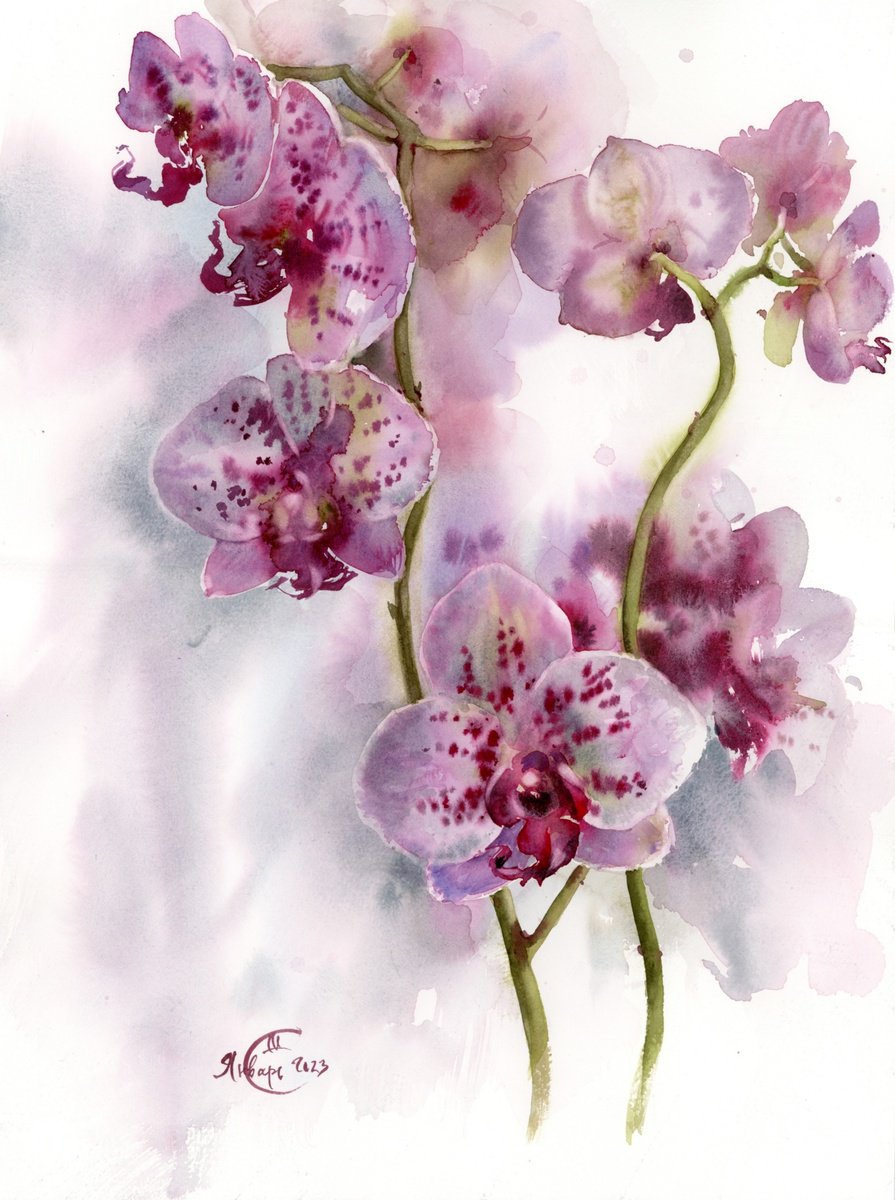 Orchid. Still life with orchid. Watercolour by Tatyana Tokareva | Artfinder