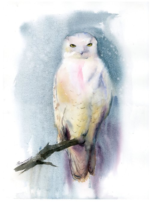 Snowy Owl by Olga Shefranov (Tchefranov)