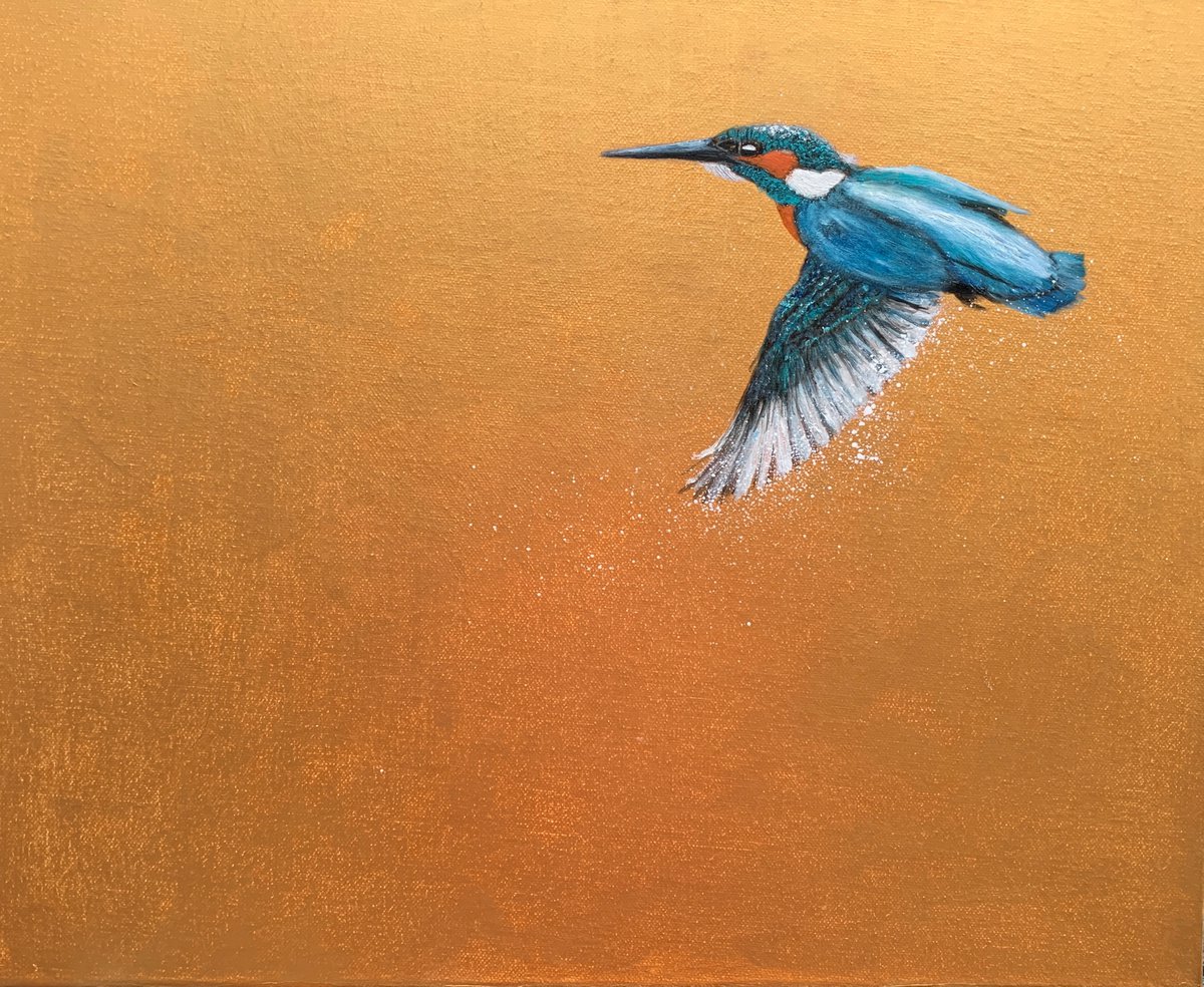 Flight Of The Kingfisher III by Laure Bury