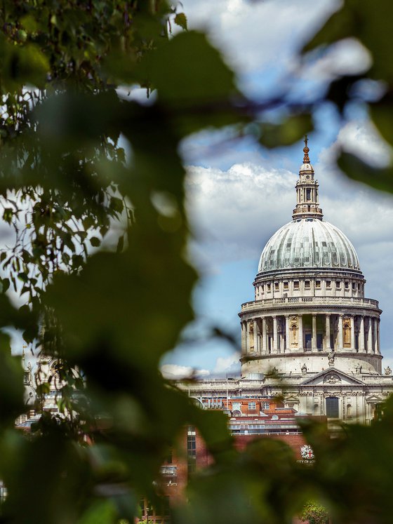 Natural framing : St Pauls Cathedral  1/20 9X12