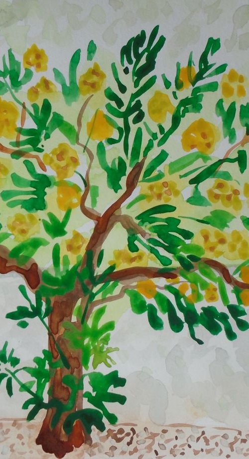 Yellow Blossom by Kirsty Wain