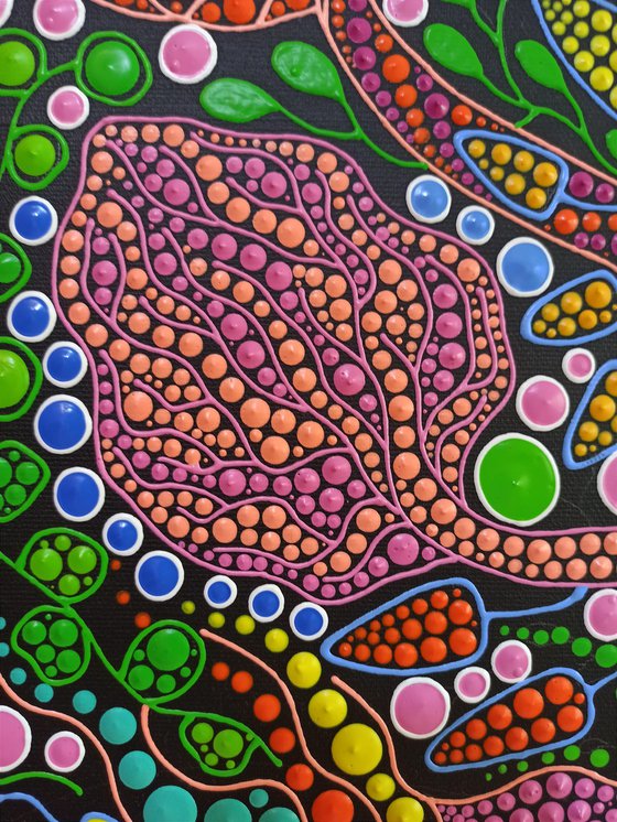 Mushrooms Forest
