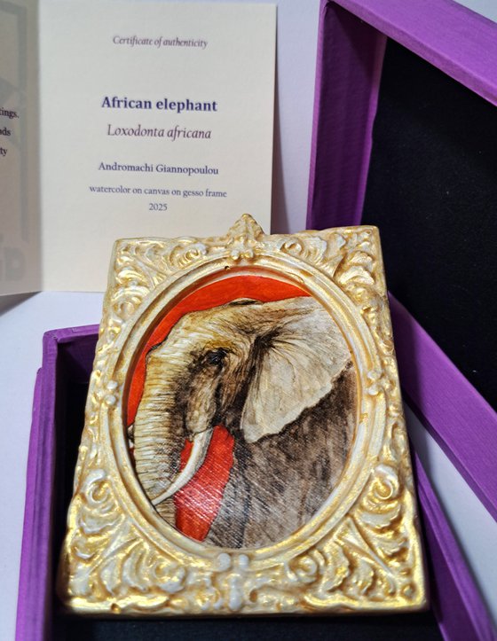 african elephant