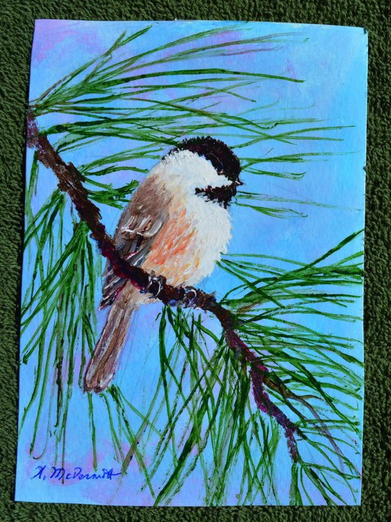 Sky Blue Pink Chickadee - framed original 7X5 inch bird painting by K. McDermott (SOLD)