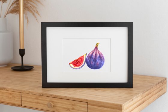 Purple Fig Original Watercolor