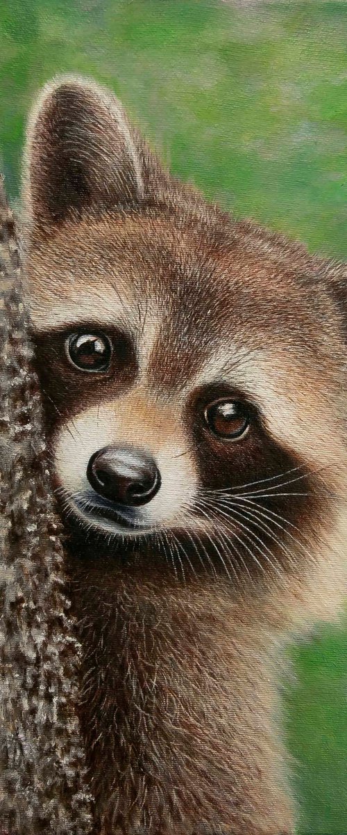 Raccoon. A cute and curious Raccoon. by Anastasia Woron