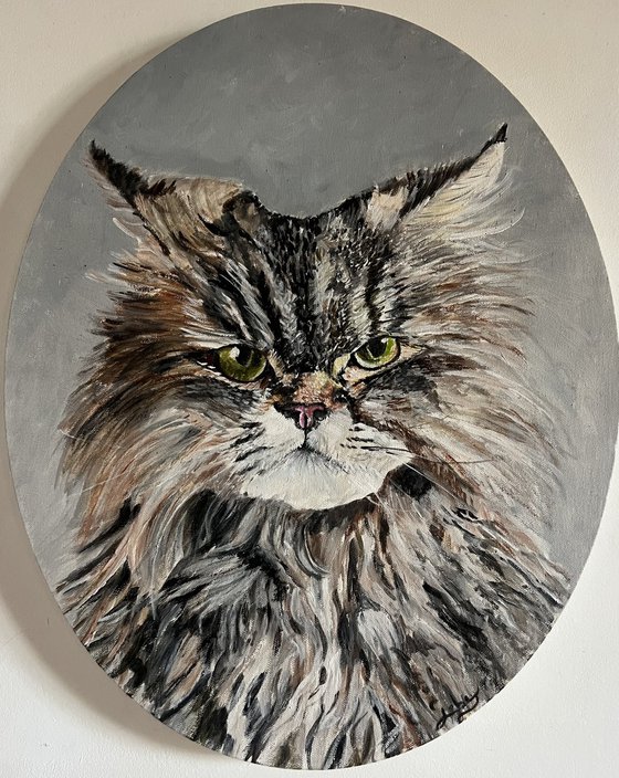Cat
