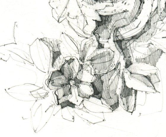 "Architectural sketch" original pencil drawing - botany architectural detail