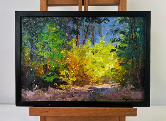 Warm Light Spreading Around