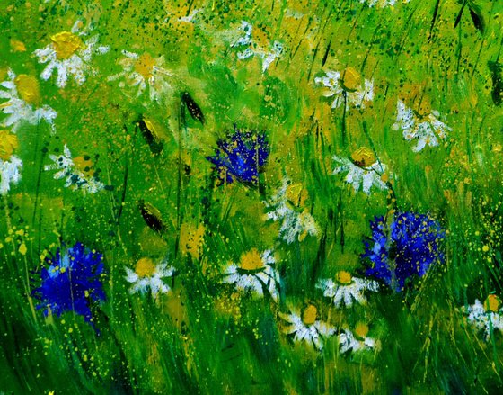 Cornflowers and daisies