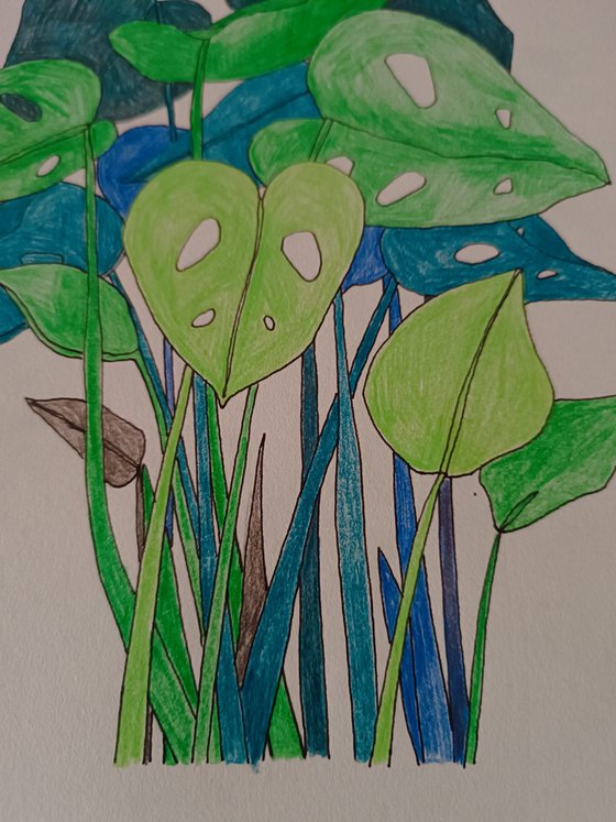 draw 10.0