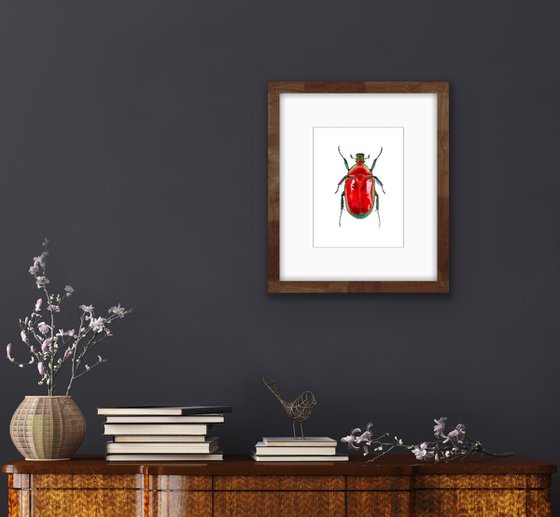Red beetle. Original watercolour artwork.