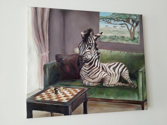 Zebra At Home