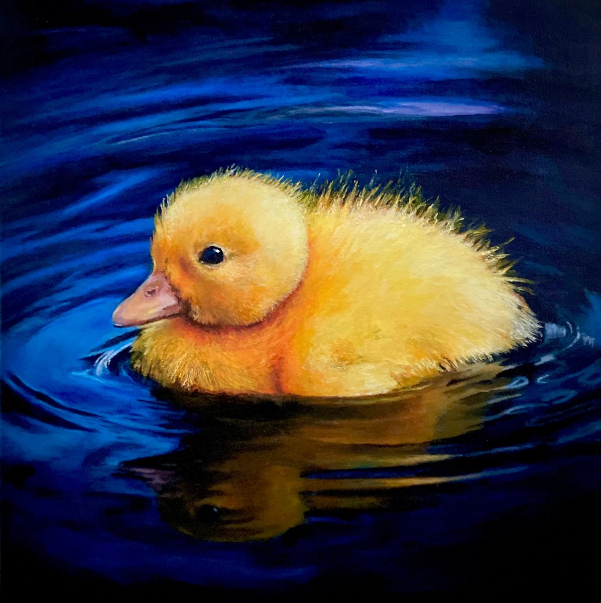 Ducklings reflection by Paul Hardern