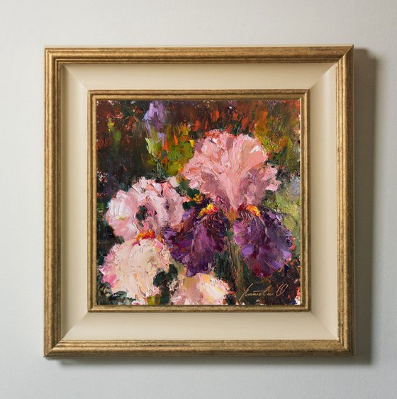 Iris in Claude Monet's Garden