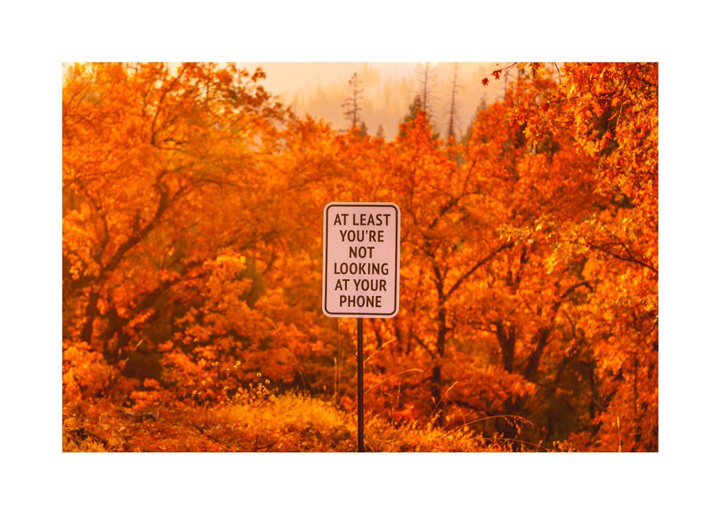 Typographic Landscape Photograph By Jack Daly, 28 X 20, Tourist Bored #3, Original Artwork