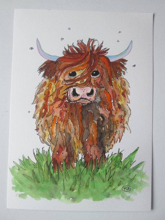 Big Hairy Scottish Highland Cow