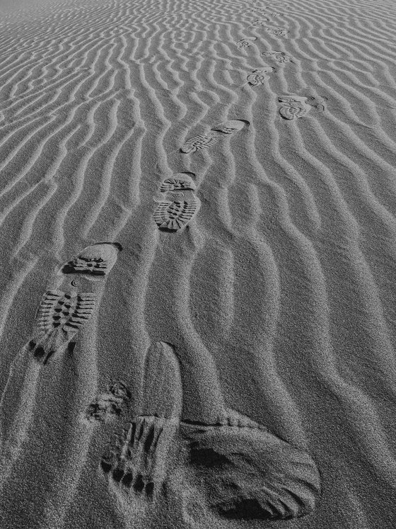 TRACKS ON THE SAHARA