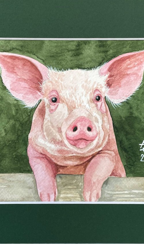 Piggy by Jolanta Czarnecka