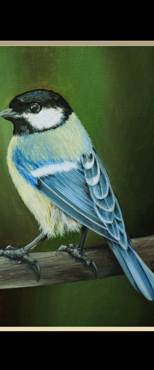 Great tit by Jayne Farrer