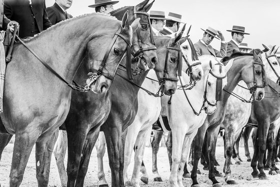 The Line Up