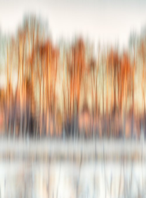 Lapland Birchline by Karim Carella