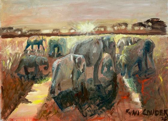 Elephants At Dusk