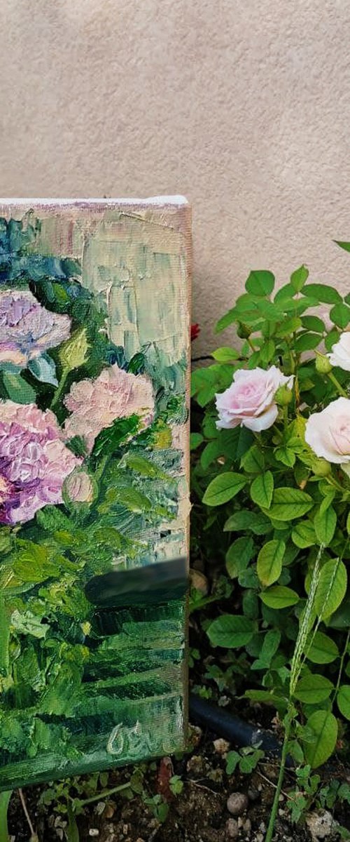 Delicate pale pink roses. 18x24 cm. Plein-air. Delicate rose rosa pallido by Oksana Evteeva